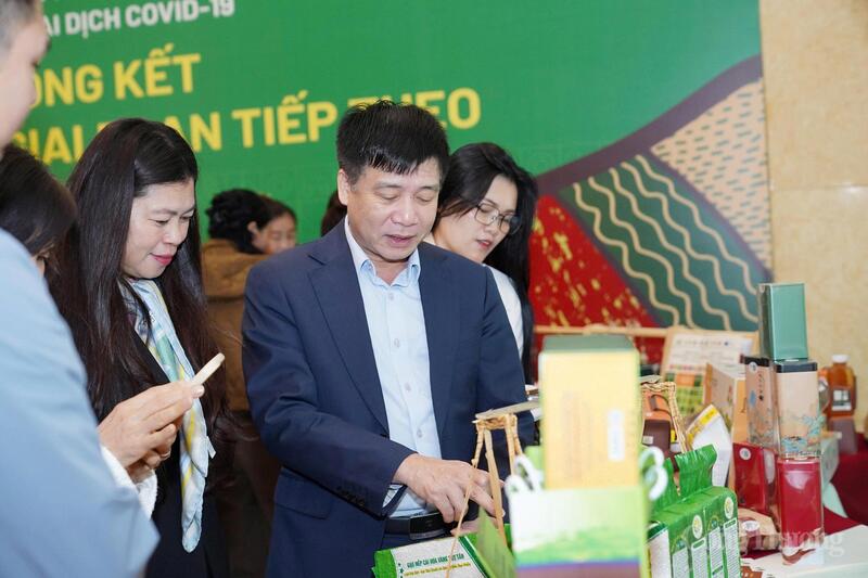 Các HTX kiến nghị Trung ương Hội Nông dân Việt Nam tiếp tục hỗ trợ quảng bá và xúc tiến thương mại, qua đó giúp mở rộng vùng nguyên liệu. Ảnh: N.H