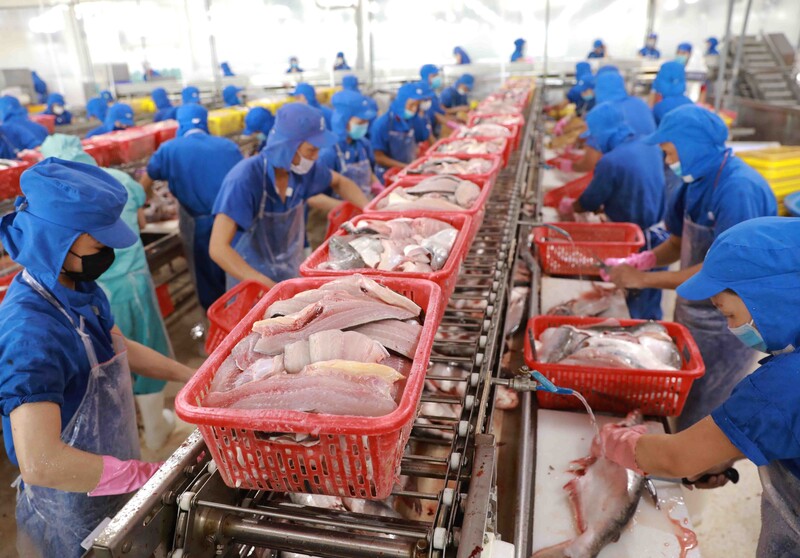Liên Minh Truyền Thông Và Game Giải Trí Top 1 thủy sản vào thị trường RCEP hiện chiếm khoảng 52% tổng kim ngạch toàn ngành. Ảnh minh họa.