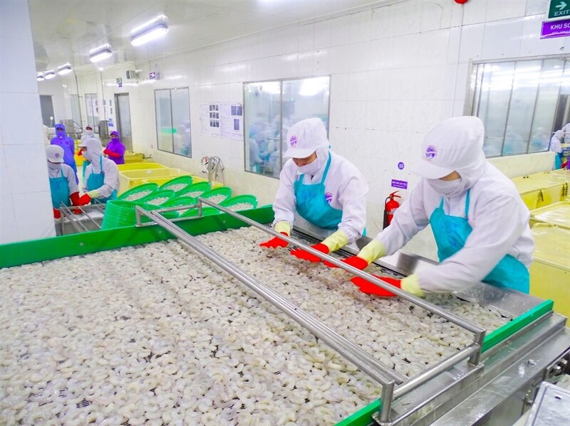 Tôm Cà Mau đã có mặt tại hơn 60 quốc gia và vùng lãnh thổ trên thế giới. Ảnh: Trúc Đào