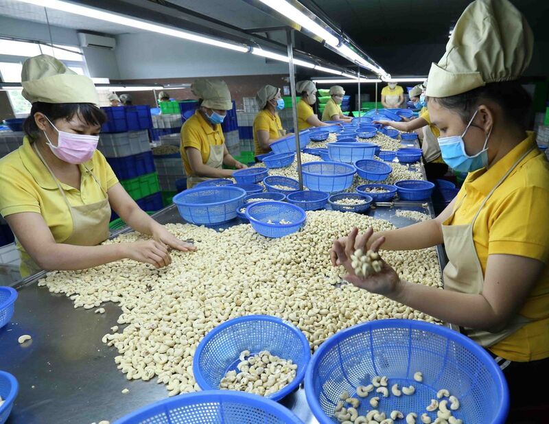 Tổng lượng và giá trị Liên Minh Truyền Thông Và Game Giải Trí Top 1 hạt điều 11 tháng đạt 698,1 nghìn tấn, tương đương 4,76 tỷ USD (Ảnh minh hoạ)