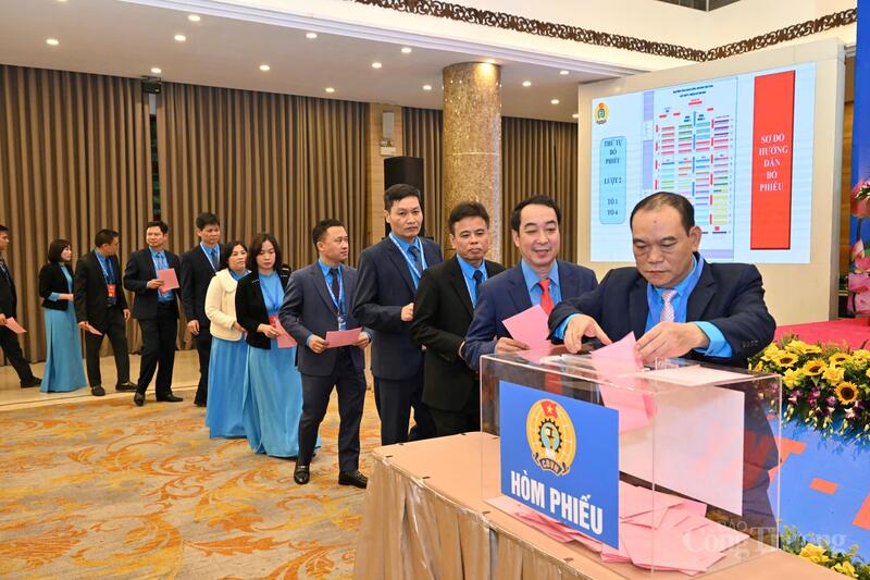 Các đại biểu tiến hành bỏ phiếu.