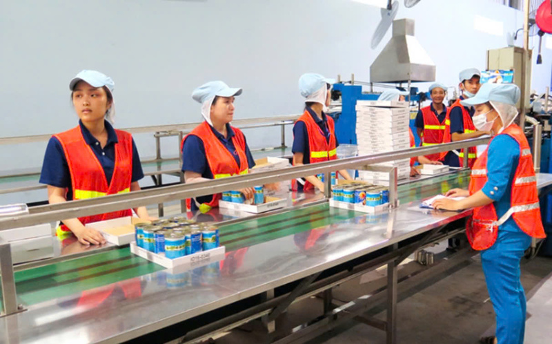 Xuất xứ hàng hóa đang trở thành yếu tố then chốt, quyết định khả năng tận dụng FTA và nâng cao giá trị Liên Minh Truyền Thông Và Game Giải Trí Top 1 của ngành dừa Việt Nam. Ảnh: NVCC
