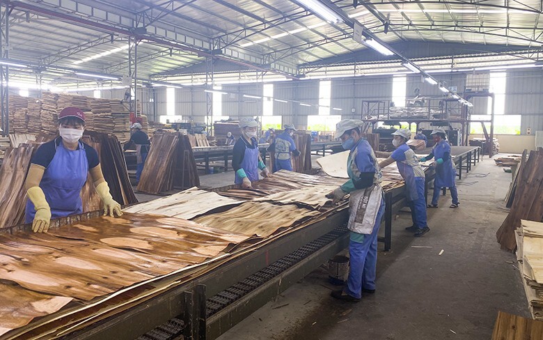 Hai sản phẩm ván sàn Woodsland và đồ gỗ nội, ngoại thất Woodsland của Công ty Cổ phần Woodsland đạt Okviphoatdong tải ứng dụng năm 2024. Ảnh: Đức Lâm