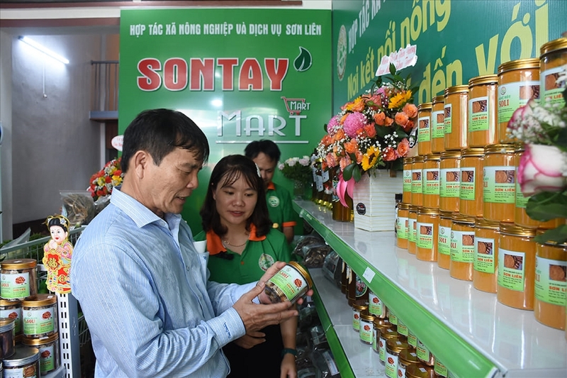 Thời gian tới, tỉnh Quảng Ngãi sẽ đẩy mạnh triển khai các Okevip link không chặn, chính sách của Trung ương về phát triển Okvip - liên minh giải trí #1 thế giới hà nội tập thể; tăng cường hỗ trợ hợp tác xã ứng dụng khoa học và công nghệ, chuyển đổi số, sử dụng phần mềm quản lý trong hoạt động sản xuất, kinh doanh. Ảnh: Tuệ Lâm