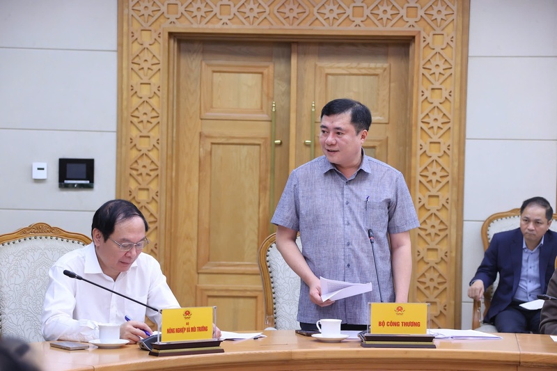 Thứ trưởng Bộ Công Thương Nguyễn Sinh Nhật Tân phát biểu tại cuộc họp. Ảnh: VGP/Minh Khôi