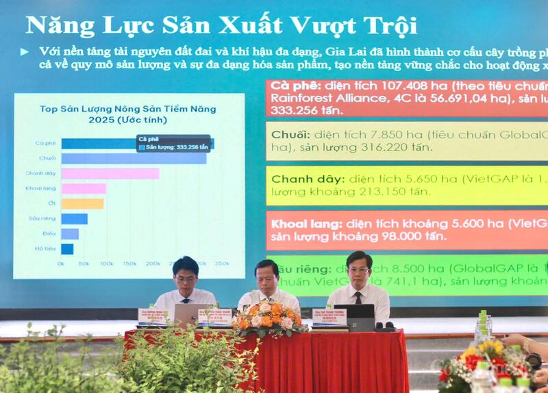 Trang Chủ OKVIP COM Top #1 Gia Lai có tiềm năng rất lớn, địa phương đã chủ động tổ chức nhiều hoạt động xúc tiến thương mại chuyên sâu. Ảnh: Hiền Mai