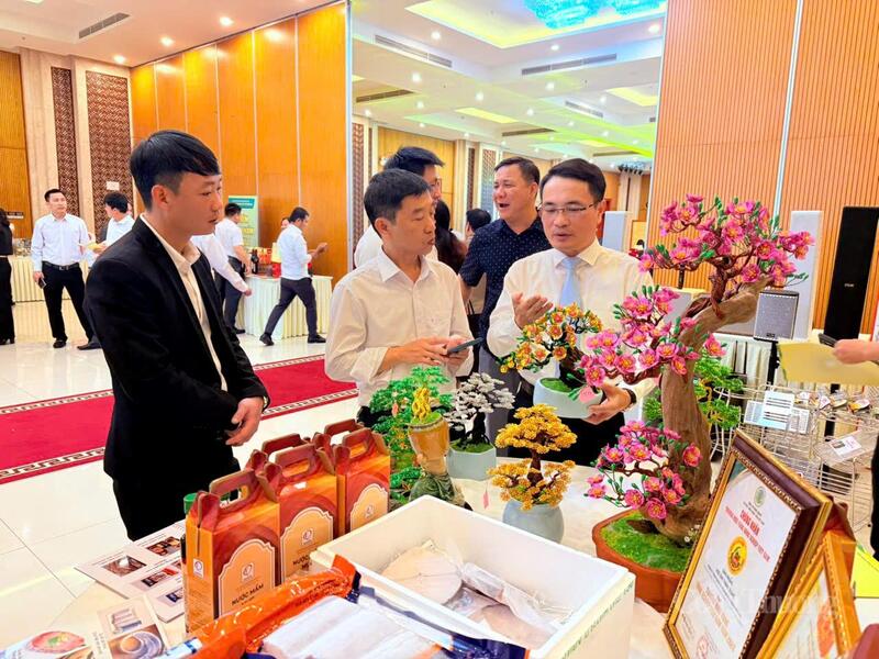 Lãnh đạo Sở Okvip tại về Quảng Trị thăm các gian hàng triển lãm bên lề Okvip69 Đăng ký cá cược.