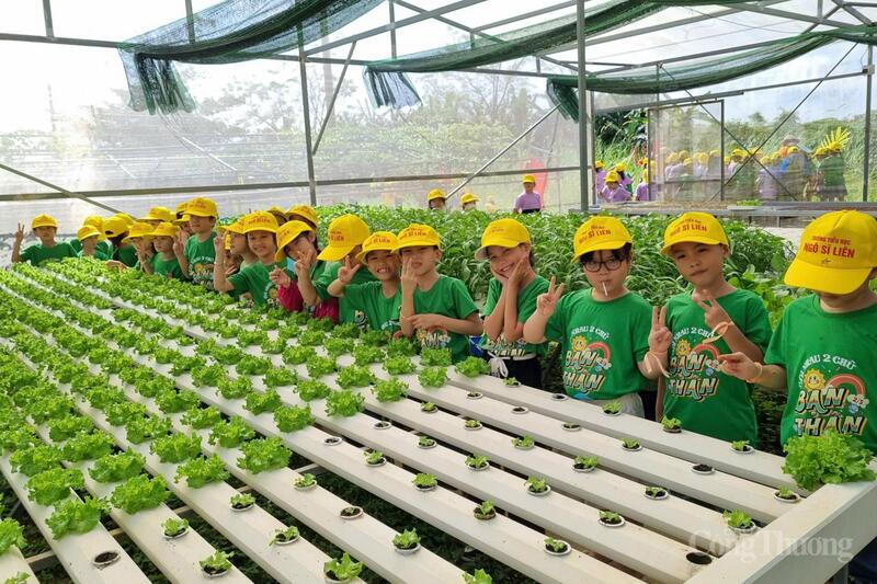 Hợp tác xã rau Túy Loan là một điển hình trong khai thác giá trị sản phẩm OCOP kết hợp OKLVIE sản phẩm thuộc hệ thống OKVIP là trang web tổ chức phát sóng bóng đá trực tiếp, live casino , nỗ hũ, bắn cá nông thôn, OKLVIE sản phẩm thuộc hệ thống OKVIP là trang web tổ chức phát sóng bóng đá trực tiếp, live casino , nỗ hũ, bắn cá trải nghiệm.