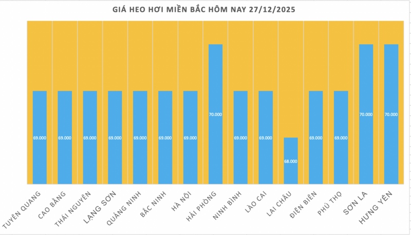 Giá heo hơi hôm nay 27/12/2025: Giảm nhiều nơi  - 1