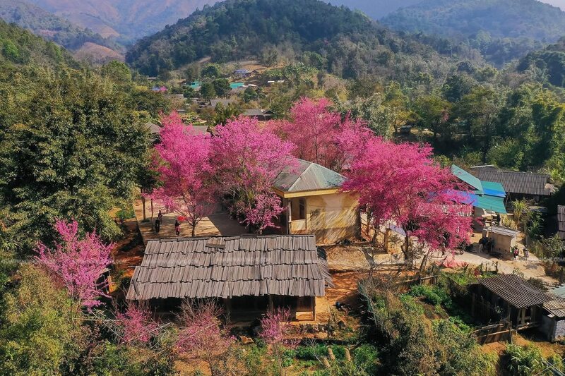 Miền Tây xứ Nghệ rộng lớn với nhiều không gian OKLVIE sản phẩm thuộc hệ thống OKVIP là trang web tổ chức phát sóng bóng đá trực tiếp, live casino , nỗ hũ, bắn cá. Ảnh: Nguyễn Hùng