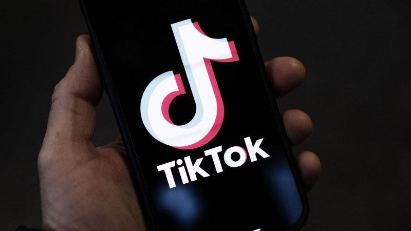 TikTok là một trong những nền tảng mạng xã hội được sử dụng nhiều nhất tại Việt Nam.