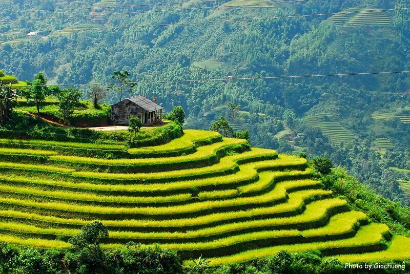 Hà Giang cũ (nay sáp nhập thành tỉnh Tuyên Quang) từ lâu đã trở thành biểu tượng của vẻ đẹp hùng vĩ và nguyên sơ.