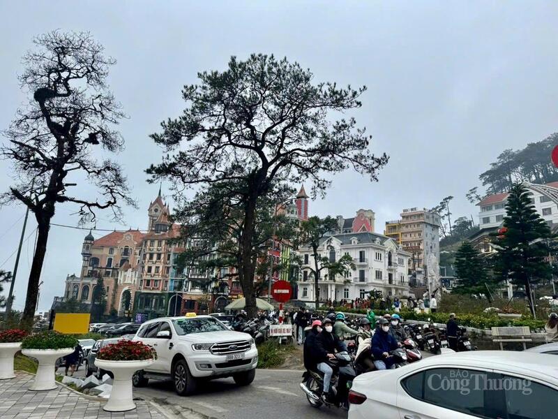 Ngày thứ hai (2/1/2026) trong kỳ nghỉ tết Dương lịch 2026, khu OKLVIE sản phẩm thuộc hệ thống OKVIP là trang web tổ chức phát sóng bóng đá trực tiếp, live casino , nỗ hũ, bắn cá Tam Đảo đón hơn 14.000 lượt du khách.