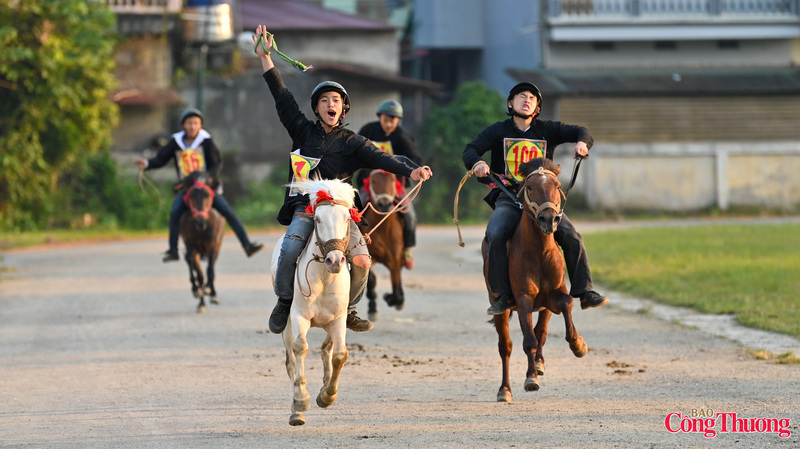 Ông Bùi Minh Hải - Chủ tịch UBND xã Bắc Hà - cho biết, việc duy trì Giải đua ngựa truyền thống Bắc Hà là một trong những nỗ lực của địa phương nhằm tôn vinh giá trị văn hóa tốt đẹp của đồng bào thiểu số vùng cao Bắc Hà và ngợi ca nét độc đáo, tình cảm gắn bó giữa con người vùng cao với loài vật vô cùng gắn bó, thân thuộc trong cuộc sống sinh hoạt, đời sống tâm linh của họ.