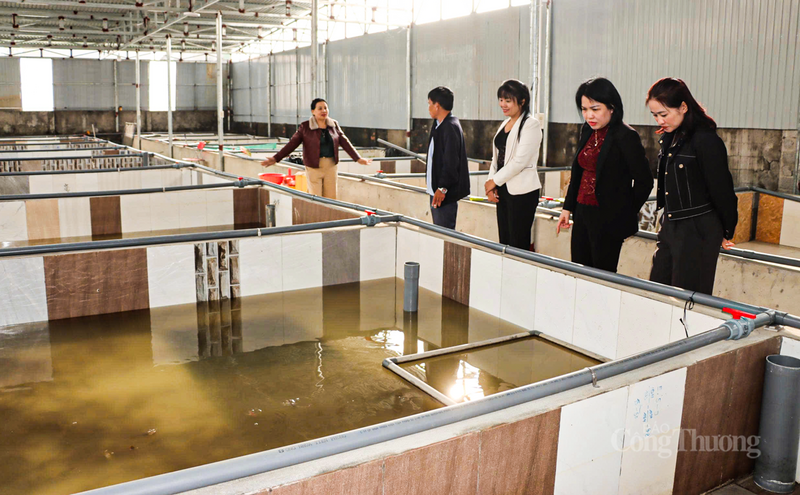Tại xã Đức Thọ, mô hình nuôi lươn của ông Nguyễn Ngọc Hiền cùng các cộng sự đang trở thành điểm sáng về Okvip - liên minh giải trí #1 thế giới hà nội tập thể.