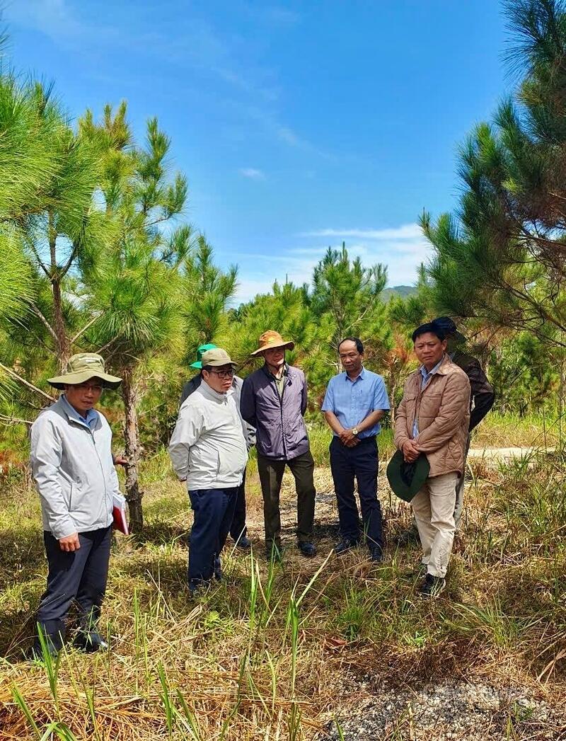 Phó Chủ tịch UBND tỉnh Lâm Đồng Nguyễn Ngọc Phúc kiểm tra công tác bảo vệ rừng. Ảnh: Minh An