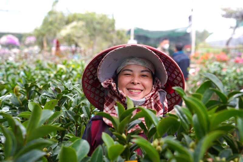 Niềm vui của những người chăm sóc, bán hoa, cây cảnh đón chào Tết Nguyên đán Bính Ngọ đang cận kề. Ảnh: Mai Liễu