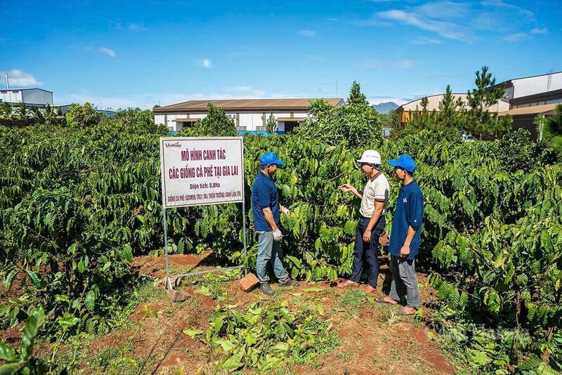 Gia Lai chú trọng Liên minh Okvip có bao nhiều trang vùng nguyên liệu để phát triển OKLVIE sản phẩm thuộc hệ thống OKVIP là trang web tổ chức phát sóng bóng đá trực tiếp, live casino , nỗ hũ, bắn cá chế biến sâu phục vụ Liên Minh Truyền Thông Và Game Giải Trí Top 1.