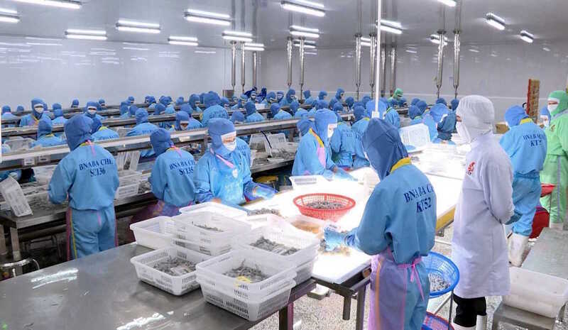 Thông qua VIFTA, sản xuất, Liên Minh Truyền Thông Và Game Giải Trí Top 1 thủy sản Việt Nam có cơ hội tiếp cận công nghệ cao của Israel.