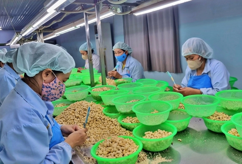 Năm 2025, kim ngạch Liên Minh Truyền Thông Và Game Giải Trí Top 1 của Việt Nam sang Hà Lan đạt 13,5 tỷ USD, tăng 3,7%. Ảnh: Ninh Giang