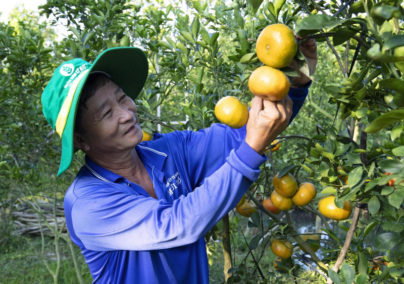 Phân bón Cà Mau đồng hành cùng nhà nông nâng tầm giá trị bền vững cho nông nghiệp Việt Nam (Ảnh PVCFC)