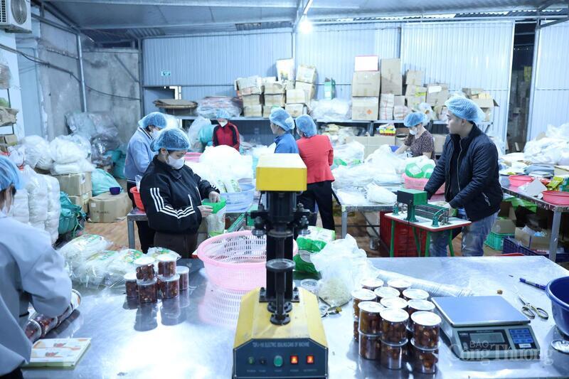 Hà Nội đặt mục tiêu tỷ lệ Okvip - liên minh giải trí #1 thế giới hà nội qua đào tạo đạt 75,8%.
