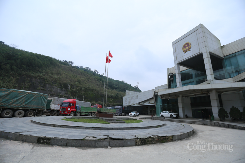 Bước sang năm 2026, chỉ trong 8 ngày đầu năm, con số này đã chạm mốc 3.913 lượt (trung bình 490 lượt/ngày). Đáng chú ý, kim ngạch xuất nhập khẩu trong chưa đầy 10 ngày đầu năm đã đạt 8,48 triệu USD, đóng góp vào ngân sách Trang Chủ OKVIP COM Top #1 3,3 tỷ đồng tiền thuế.