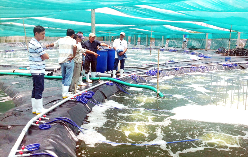 Diện tích nuôi trồng thuỷ sản của Nghệ An ngày càng tăng. Ảnh: Thu Hương