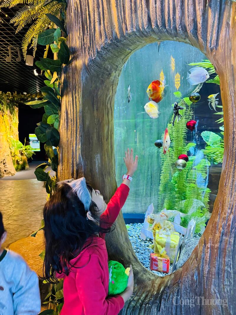 Ở phía Tây Hồ, Lotte Mall West Lake Hanoi trở thành điểm đến hấp dẫn với khu thủy cung hiện đại.