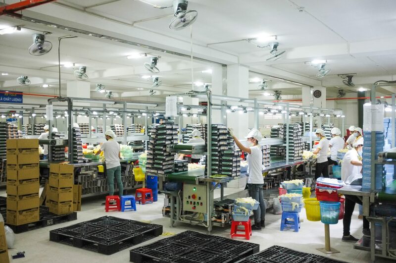 Gói thầu số 01: Mua mủ cao su Latex HA 60% có giá gói thầu 124.362.000.000 đồng. Ảnh minh họa.