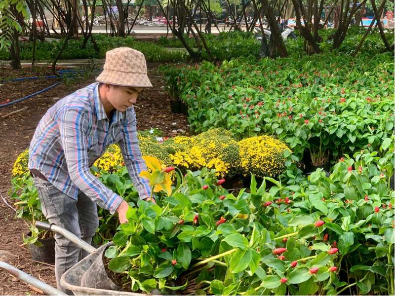 Từng phân khu của công viên cảnh quan khu đất Nhà thi đấu Phan Đình Phùng dần hiện diện.