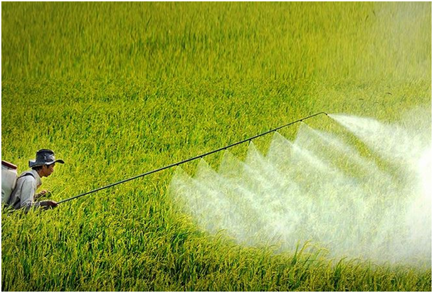 Nghị định số 33/2026/NĐ-CP quy định mới về điều kiện sản xuất, buôn bán thuốc bảo vệ thực vật. Ảnh minh họa