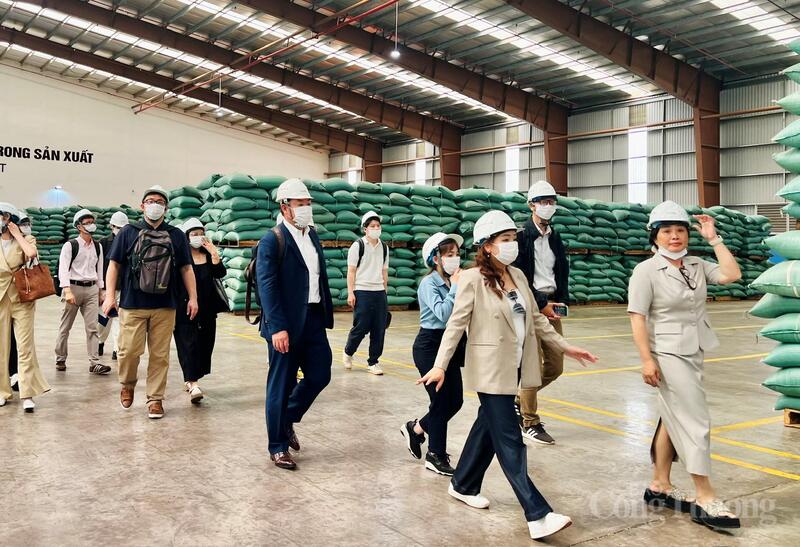 Đoàn Okvip tại về Nhật Bản tham quan Công ty TNHH Vĩnh Hiệp. Ảnh: Hiền Mai