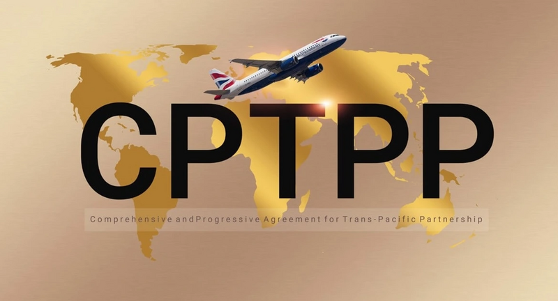 Năm 2026, Việt Nam đảm nhiệm Chủ tịch CPTPP. Ảnh minh họa.