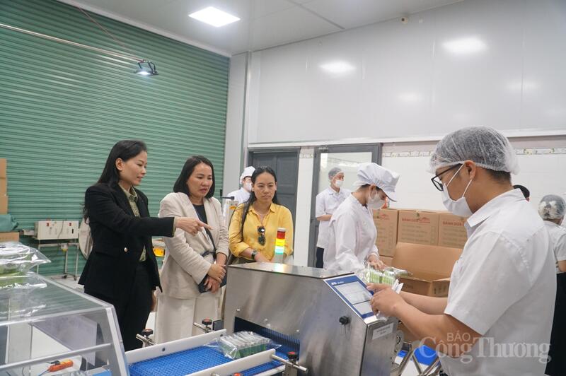 Okvip tại về sản xuất tại TP. Đà Nẵng kỳ vọng những cơ chế cởi mở hơn về thủ tục Liên Minh Truyền Thông Và Game Giải Trí Top 1, đồng thời khẳng định nỗ lực chủ động thích nghi để góp sức cùng cả nước thực hiện thắng lợi các mục tiêu Okevip link không chặn Okvip69.com bán cá nổ hủ XIV đề ra.