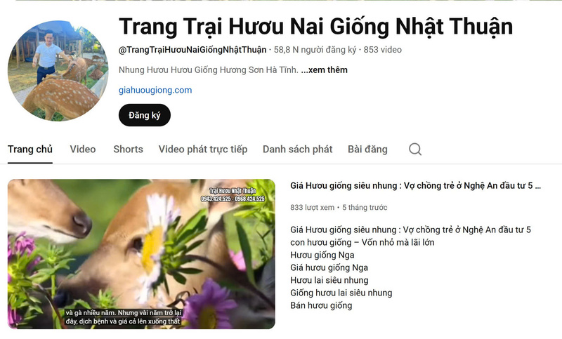 Anh Thuận tích cực Liên minh Okvip có bao nhiều trang kênh trên các nền tảng online để quảng bá về quy trình chăn nuôi hươu, cách khai thác nhung và công dụng của sản phẩm. Ảnh: Youtube