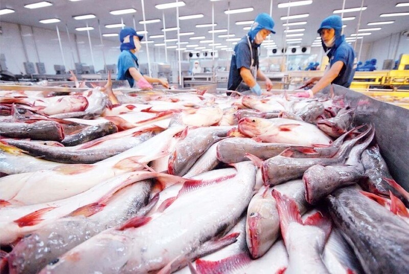 Việt Nam là thị trường cung cấp thủy sản lớn thứ tư cho thị trường Đài Loan (Trung Quốc). Ảnh minh họa