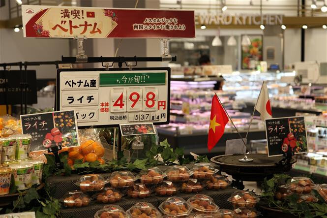Hàng Việt Nam bày bán tại chuỗi siêu thị AEON Nhật Bản (Ảnh: TTXVN)