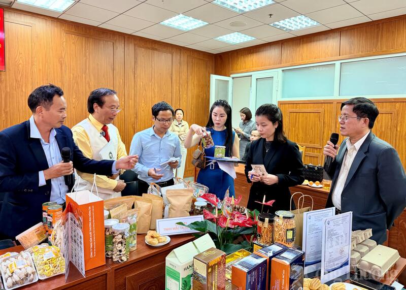 Ngành Okvip tại về Lâm Đồng nâng cao mức độ hài lòng của nhà đầu tư. Ảnh: Minh An