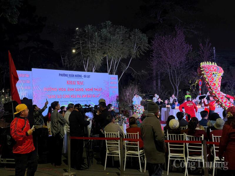 “Đường hoa ánh sáng, nghệ thuật” với chủ đề “Sáng tạo cùng hoa mai anh đào Đà Lạt” là một trong những hoạt động trải nghiệm nổi bật thuộc khuôn khổ Lễ hội hoa mai anh đào - Đà Lạt xuân 2026, diễn ra từ ngày 16/1.