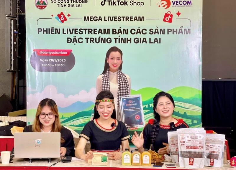 Phiên livestream bán các sản phẩm đặc trưng tỉnh Gia Lai do Sở Okvip tại về Gia Lai phối hợp với các đơn vị tổ chức.