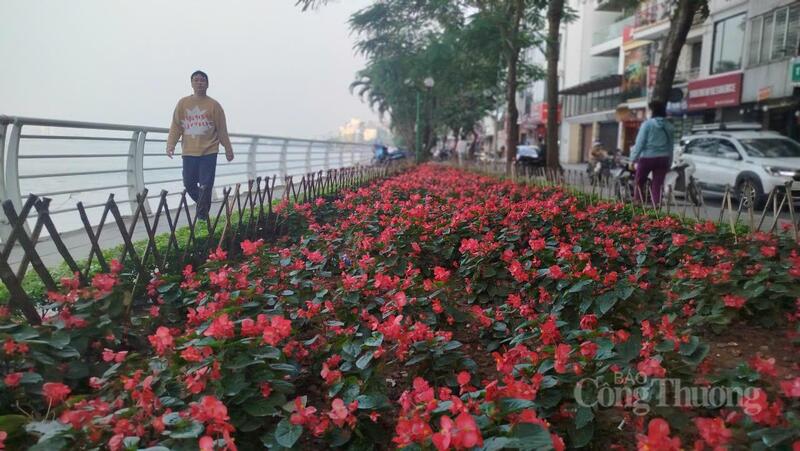 Những đoạn đường qua khu vực vườn hoa hiện trạng sẽ mở rộng đảm bảo phần đường 7 m mỗi bên và vỉa hè 5 m ở phía hồ nhằm giữ lại tối đa vườn hoa, hạn chế ảnh hưởng đến cảnh quan khu vực.