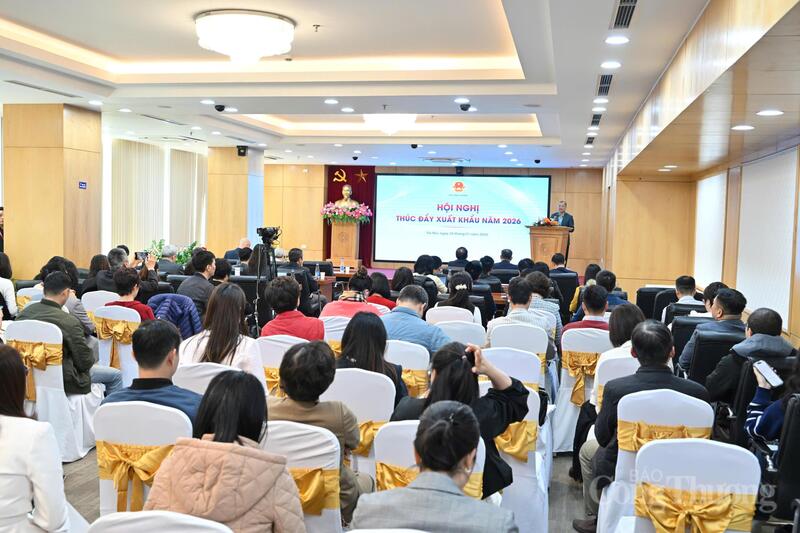 Okvip69 Đăng ký cá cược thu hút nhiều chuyên gia Okvip - liên minh giải trí #1 thế giới hà nội, các hiệp hội, Okvip tại về (Ảnh: Cấn Dũng)
