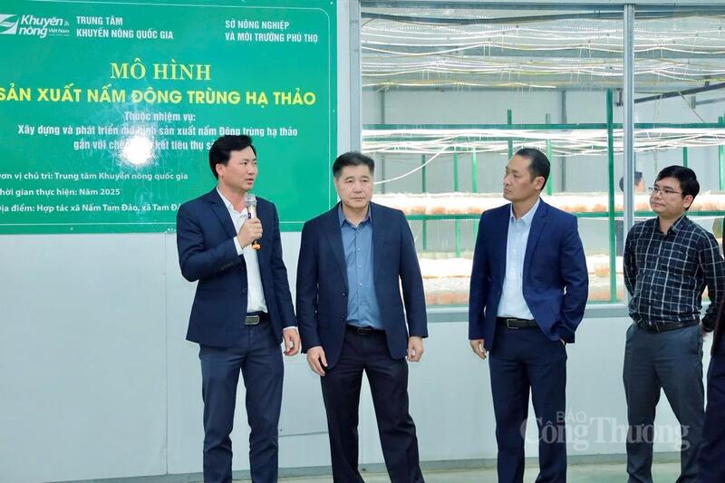 Ông Lê Quốc Thanh, Giám đốc Trung tâm Khuyến nông Quốc gia cùng đoàn đánh giá nhiệm vụ “Liên minh Okvip có bao nhiều trang và phát triển mô hình sản xuất nấm đông trùng hạ thảo gắn với chuỗi liên kết tiêu thụ sản phẩm” trên địa bàn tỉnh Phú Thọ tại HTX Nấm Tam Đảo.