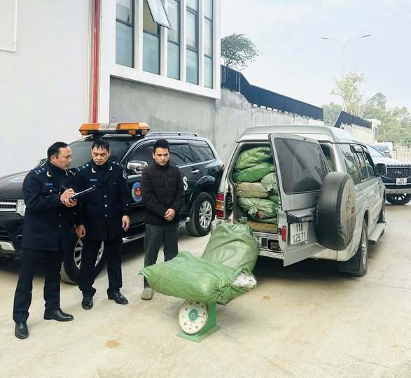 Đội Kiểm soát Hải quan thuộc Chi cục Hải quan khu vực XVI phát hiện, xử lý lô hàng lá thuốc lá không rõ nguồn gốc. Ảnh: CHQ