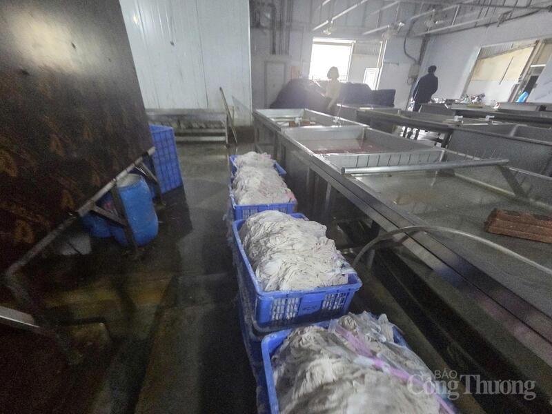 Khu sơ chế bốc mùi hôi tanh nồng nặc.
