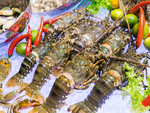Trung Quốc đẩy mạnh nhập khẩu tôm hùm và các mặt hàng tôm cao cấp.