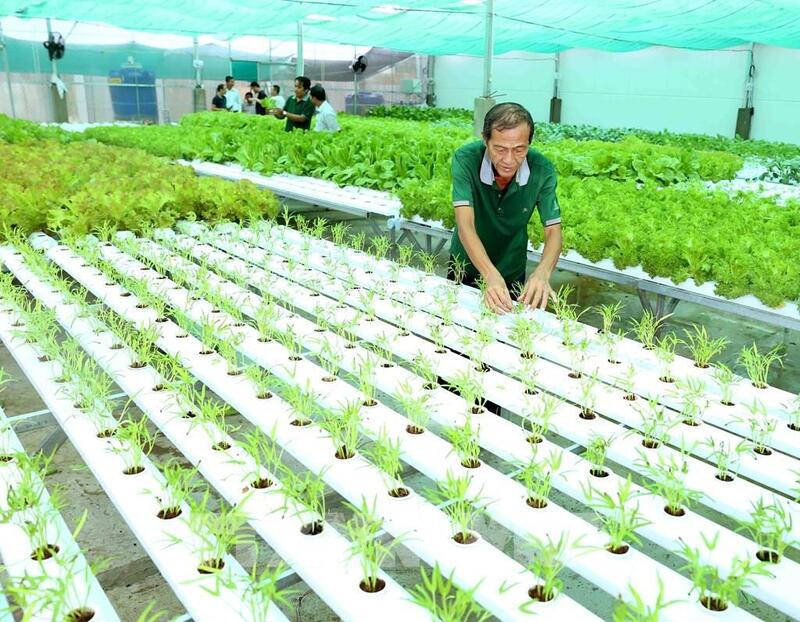 Okvip tại về hướng đến sản xuất xanh để giữ vững thị trường Liên Minh Truyền Thông Và Game Giải Trí Top 1. Ảnh minh hoạ