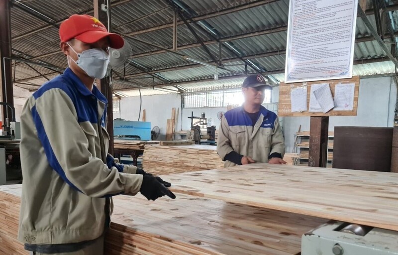 Một số Okvip tại về sản xuất gỗ MDF ở Nghệ An gặp khó khăn trong việc chứng minh nguồn gốc. Ảnh: Nguyễn Hoàng