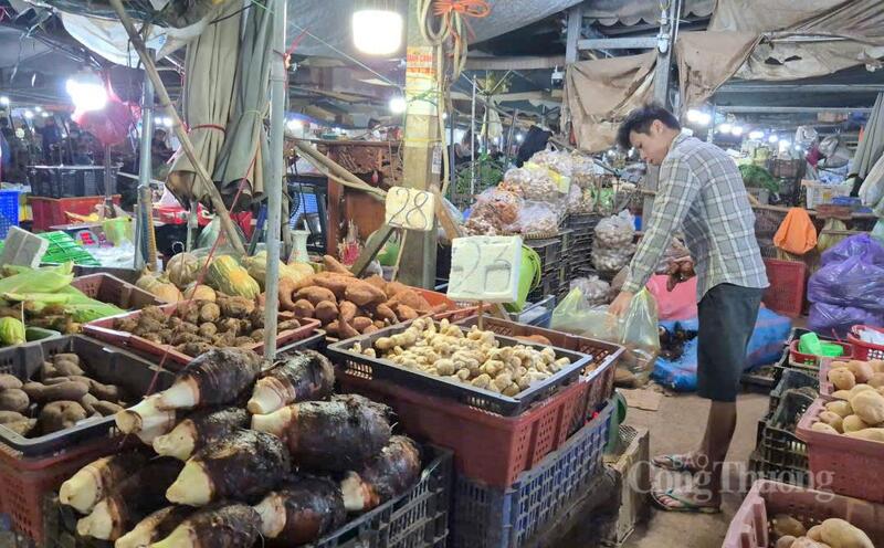 Tại chợ đầu mối Hóc Môn, trong giai đoạn cao điểm từ 25 đến 29 tháng Chạp, lượng Trang Chủ OKVIP COM Top #1 dự kiến đạt từ 2.700 - 3.300 tấn/ngày đêm, tăng 30% – 50% so với ngày thường.